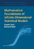 Evarist Ginae, Evarist Gine, Evarist Nickl Gine, Evarist Giné, Richard Nickl - Mathematical Foundations of Infinite-Dimensional Statistical Models