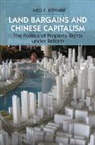 Meg Rithmire, Meg E Rithmire, Meg E. Rithmire, Meg E. (Harvard Business School) Rithmire, Rithmire Meg E. - Land Bargains and Chinese Capitalism