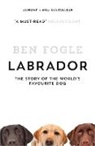 Ben Fogle - Labrador