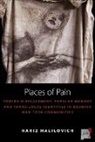 Hariz Halilovich - Places of Pain
