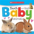 Scholastic - Touch and Feel Baby Animals