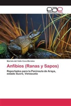 Mariela del Valle Cova Morales - Anfibios (Ranas y Sapos)