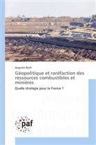 Augustin Roch, Roch-a - Geopolitique et rarefaction des