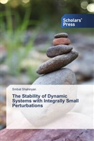 Smbat Shahinyan - The Stability of Dynamic Systems with Integrally Small Perturbations