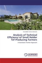 Kumadebis Tamiru Gemechu - Analysis of Technical Efficiency of Small Holder Tef Producing Farmers