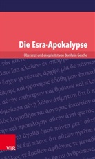 Bonifati Gesche, Bonifatia Gesche - Die Esra-Apokalypse