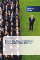 Andrew Williams - Enterprise Resource Systems: Post-Adoptive Use Behavior