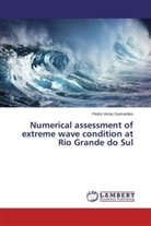 Pedro Veras Guimarães - Numerical assessment of extreme wave condition at Rio Grande do Sul