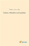 Theodor Schwartze - Telefon, Mikrofon und Radiofon