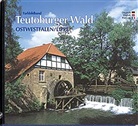 Farbbildreise durch Ostwestfalen/Lippe, Teutoburger Wald