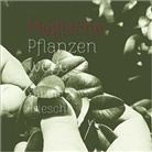 Sabine Friesch - Magische Pflanzenwege