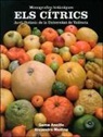 Gema Ancillo Antón, Alejandro Medina Sánchez-Valladares - Els cítrics