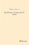 Eberhard Dennert - Die Pflanze - ihr Bau und ihr Leben