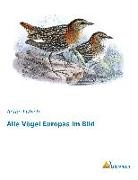 Anton Fritsch - Alle Vögel Europas im Bild