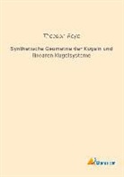 Theodor Reye - Synthetische Geometrie der Kugeln und linearen Kugelsysteme