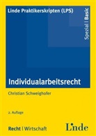 Christian Schweighofer, Werne Hauser, Werner Hauser - Individualarbeitsrecht (f. Österreich)