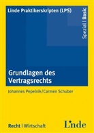 Johanne Pepelnik, Johannes Pepelnik, Carmen Schuber, Werne Hauser, Werner Hauser - Grundlagen des Vertragsrechts (f. Österreich)