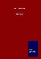 Carl Gebhardt - Spinoza