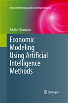 Tshilidzi Marwala - Economic Modeling Using Artificial Intelligence Methods