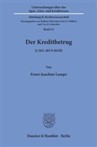 Ernst-Joachim Lampe - Der Kreditbetrug ( 263, 265 b StGB).