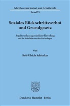 Rolf-Ulrich Schlenker - Soziales Rückschrittsverbot und Grundgesetz.
