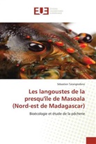 Sébastien Tatangirafeno, Tatangirafeno-s - Les langoustes de la presqu ile
