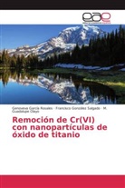 Genovev García Rosales, Genoveva García Rosales, Francisco Gonzáles, Francis González Salgado, Francisco González Salgado, M. Guadalupe Olayo - Remoción de Cr(VI) con nanopartículas de óxido de titanio