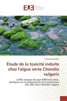 Lachezar Stanchev, Stanchev-l - Etude de la toxicite induite chez