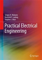Stephen J. Bitar, Reinhold F. Ludwig, Stephen J. Bitar, Reinhold Ludwig, Reinhold F. Ludwig, Sergey N. Makarov... - Practical Electrical Engineering