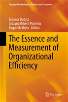 Bogumi¿a Brycz, Bogumila Brycz, Bogumiła Brycz, Tadeusz Dudycz, Gra yna Osbert-Pociecha, Gra¿yna Osbert-Pociecha... - The Essence and Measurement of Organizational Efficiency