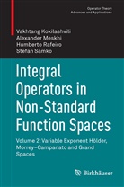Vakhtan Kokilashvili, Vakhtang Kokilashvili, Alexande Meskhi, Alexander Meskhi, Rafeiro, Humberto Rafeiro... - Integral Operators in Non-Standard Function Spaces