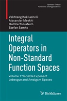 Vakhtan Kokilashvili, Vakhtang Kokilashvili, Alexande Meskhi, Alexander Meskhi, Rafeiro, Humberto Rafeiro... - Integral Operators in Non-Standard Function Spaces