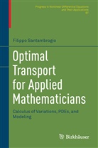 Filippo Santambrogio - Optimal Transport for Applied Mathematicians