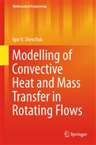 Igor V Shevchuk, Igor V. Shevchuk - Modelling of Convective Heat and Mass Transfer in Rotating Flows