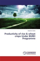 Debashis Sarkar - Productivity of rice & wheat crops Under BGREI Programme