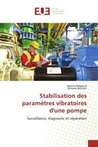 Hakim Belghoul, Hakima Belghoul, Slimane Merdaci - Stabilisation des parametres