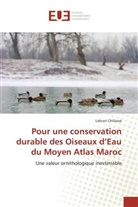 Lahcen Chillasse, Chillasse-l - Pour une conservation durable des