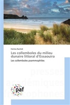 Fatima Rachidi, Rachidi-F - LES COLLEMBOLES DU MILIEU DUNAIRE LITTORAL D ESSAOUIRA