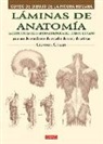 Giovanni Civardi - Láminas de anatomía : la estructura óseo-artro-miológica del cuerpo humano