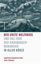 Josef Broukal, Manfrie Rauchensteiner, Manfried Rauchensteiner - Der Erste Weltkrieg und das Ende der Habsburgermonarchie 1914-1918