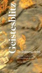 Rainer Otte - Geistesblitz im Dämmerlicht