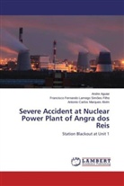 Andr Aguiar, Andre Aguiar, Francisco Ferna Lamego Simões Filho, Francisco Fernando Lamego Simões Filho, Antonio Carlos Marques Alvim - Severe Accident at Nuclear Power Plant of Angra dos Reis