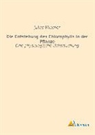 Julius Wiesner - Die Entstehung des Chlorophylls in der Pflanze