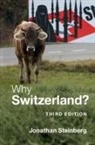 Jonathan Steinberg - Why Switzerland ?