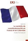 Diego Higuera, Higuera-d - Le controle de constitutionnalite
