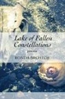 Ronda Broatch, Lana Hechtman Ayers - Lake of Fallen Constellations