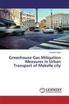 Tewelde Gebre - Greenhouse Gas Mitigation Measures in Urban Transport of Mekelle city