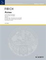Zdenek Fibich, Wolfgang Birtel - Poème