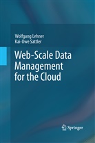 Wolfgan Lehner, Wolfgang Lehner, Kai-Uwe Sattler - Web-Scale Data Management for the Cloud
