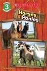 Sheila Perkins - Horses and Ponies